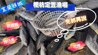 宜蘭 頭城 梗枋定置漁場 北硿漁船進港 煙仔虎 花煙 長腰鮪 超肥美