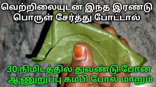 வெற்றிலையுடன் இந்த இரண்டு பொருளை சேர்ந்து போட்டு பாருங்க//பழைய பேப்பர்