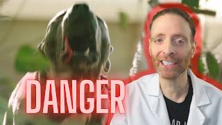 5 Reasons Your Dog is Suddenly Aggressive | Veterinarian Explains