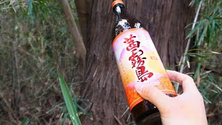 お酒をぶちまけると虫が集まる