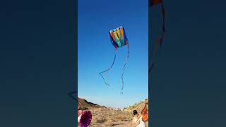 Flying kites in Las Vegas!