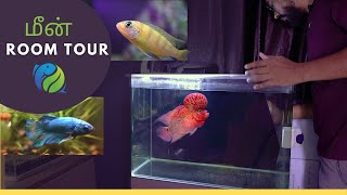 My Fish Tanks Updates | Flowerhorn Tank | Tamil | EP - 173