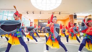 [4K]和歌山ＭＯＶＥ　ちかよさ2018(広角)