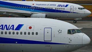 [ノーカット]ANAB767-300 ～プッシュバックからタキシングまで～  NH612 12/27 宮崎空港