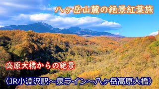 『八ヶ岳山麓の紅葉を求めて』その５　これぞ紅葉！どこを切り取っても絵になる「泉ライン」から金色の世界を見渡す高原大橋（山梨県北杜市小淵沢駅～北杜市高原大橋）【ドラレコ全行程】赤いカブ50でツーリング⑭