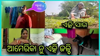 ଆମେରିକା ନୁ ଏତ୍କି ଜଳ୍ଦି ବାହୁବଳୀ ର ବାପା ବିନା ସାର ରେ ସାଗ୍ ଗୁଟେ ଜିନିଷ ମଗାବ ଆଉ ଅଲଗା @minakshivlogs//