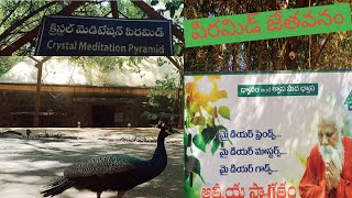 Pyramid Jethavanam #పిరమిడ్ జేతవనం #walking video #meditation