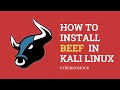 How to Install Beef in Kali Linux || Installing BEeF on Linux OS || Cybernomous