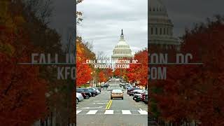 Fall in Washington, 미국 워싱턴디씨 가을 풍경!