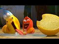 LARVA | FRUTA ÁCIDA | Dibujos animados para niños | WildBrain Videos For Kids