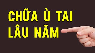 It Doesn't Cost a Single Coin to Cure Long-Term Tinnitus Immediately With This Method | HYT3