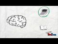 cognitive load theory how do i apply it