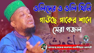 ওলিদের ও ওলি যিনি গাউছে পাকের শানে সেরা গজল । waliullah aseki official