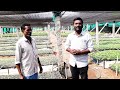 రైతు సోదరులకు పంట మొక్కలు అవగాహన nurseryfarms farms crops plants rythubata