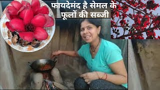 फायदेमंद है सेमल के फूलों की सब्जी||Silk cotton tree recipe | Tree Buds Dish