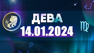 Гороскоп на 14.01.2024 ДЕВА