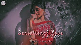 Sensational Love Lo-Fi Mashup (Slowed & Reverb) | Aashiq Tera | Dekha Hazaro Dafa | SuKooN Muzik
