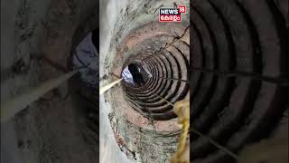 Bear Fell Into Well | Thiruvananthapuram Vellanad കരടി കിണറ്റിൽ വീണു | #shorts