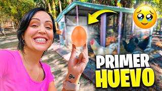 EL PRIMER HUEVO 😱 Las Gallinas Comenzaron a Poner Huevos 🥹 Ay Qué Emoción ❤️ Sandra Cires Vlog