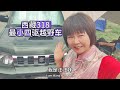 318进西藏最小四驱越野车 #自驾游 #房车旅行