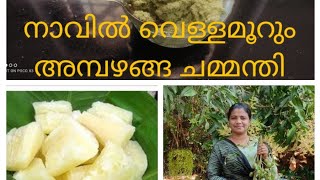 നാടൻ അമ്പഴങ്ങ ചമ്മന്തി ,Ambazhanga chamandhi,