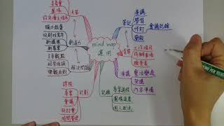 一張紙一枝筆教你繪製有系統的心智圖