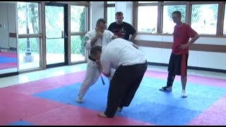 Isshinryu Kicking Techniques with Hanshi Albert Mady