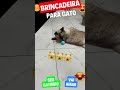 Brinquedo de gato interativo, bola de rolamento automática Compre Maior Importador Produtos do Mundo