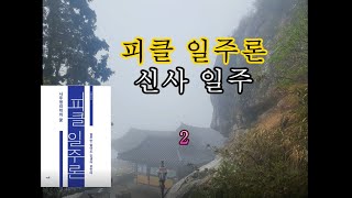 [피클 일주론] 23-2 신사일주 2 - 피클의 행복한 명리