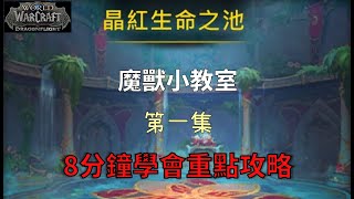 【魔獸世界10.0】-副本攻略/晶紅生命之池(影片說明附文字重點)