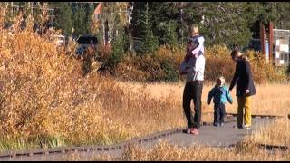 5 Family Friendly Trails on the  Uinta-Wasatch-Cache National Forest in Utah