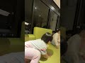 姐姐分給妹妹糖果 育兒 日常 cute 可愛い funny imut