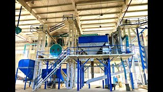 300TPD Rice bran oil production project | Rice bran oil making machine | Rice oil extraction process