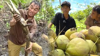 在鱷魚島繼續荒野生存，佈置的螃蟹籠有了收穫，秦哥還潛水帶來了龍蝦和海螺，一道海鮮炒蝦蟹終於填飽了肚子【探索兄弟】#戶外 #探索兄弟 #美食 #龍蝦 #荒野求生