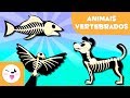 ANIMAIS VERTEBRADOS para crianças - Mamíferos, aves, répteis, peixes e anfíbios