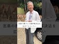 宮島の鹿さんの解決策をお聞きしました。