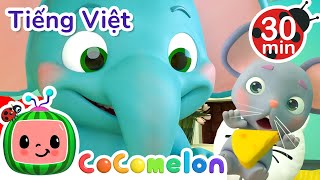 Ôi không! Phô mai mắc kẹt trên đồng hồ!  | CoComelon Tiếng Việt | Nhạc cho Trẻ em | Bài hát Ru ngủ