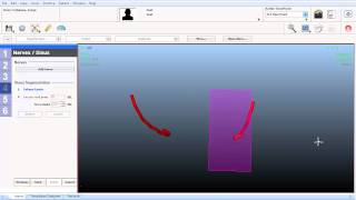 NemoScan Planificacion v10 castellano