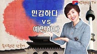 속시원한 한국어, 민감하다 vs 예민하다