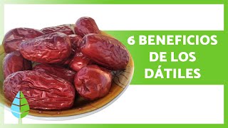 BENEFICIOS de los DÁTILES para la SALUD 💚 | Propiedades, Cómo Comerlos y Contraindicaciones