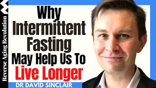 WHY Intermittent Fasting May Help Us To LIVE LONGER | Dr David Sinclair Interview Clips