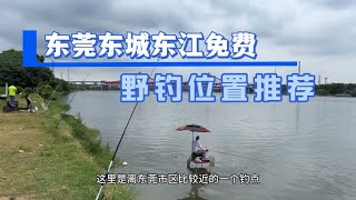 东莞东城东江免费野钓位置推荐