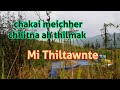 Pu Famkima Thiltawn Mak // Suanlungan luiah thilmak an tawng ( Mi Thiltawnte 96 )