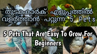 തുടകകാർക് എളുപ്പത്തിൽ വളർത്താൻ പറ്റുന്ന 5 Pets വില/ 5 Pets That Are Easy To Grow For Beginners Rate