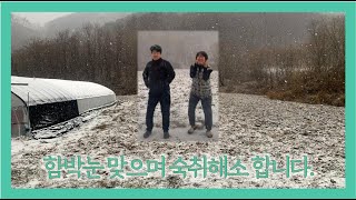 시골청년 노는 법 : 숙취해소 ver.