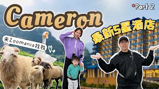 金马伦最新5星酒店｜喜欢动物必去景点 - Cameron Vlog Part II【JAE家出游】