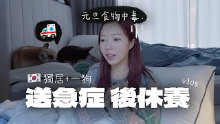 食物中毒連續入急症 原來病重照顧狗超困難！家中一週沒整理過超髒⋯狗也被嚇倒了? (居家vlog+2025 update)