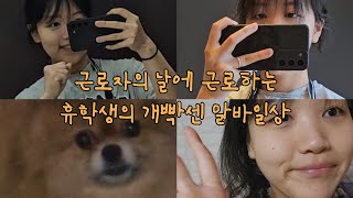 [브이로그 VLOG] 근로자의날에 근로하는 휴학생의 개빡센 알바일상 / VLOG /알바생브이로그/ 꽁꽁얼어붙은 한강위로 고양이가 걸어다닙니다 챌린지