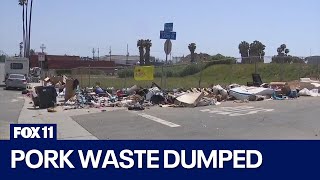 Pork waste illegally dumped on East Gardena streets, officials investigating