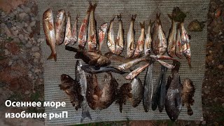 Осеннее море изобилие рыП:))) ночная охота в черном море с острогой